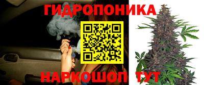 гидропоника Беслан